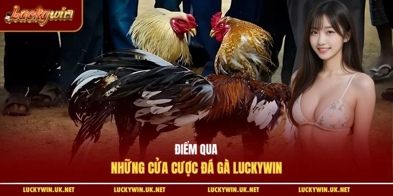 Điểm qua những cửa cược đá gà Luckywin